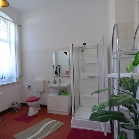 Fachwerkvilla Am Kurpark Apartment Benneckenstein