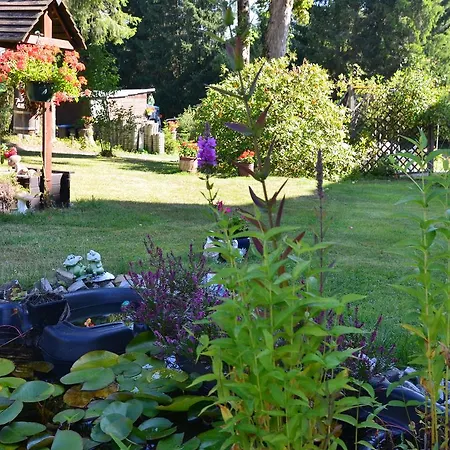 Apartment Fachwerkvilla Am Kurpark *